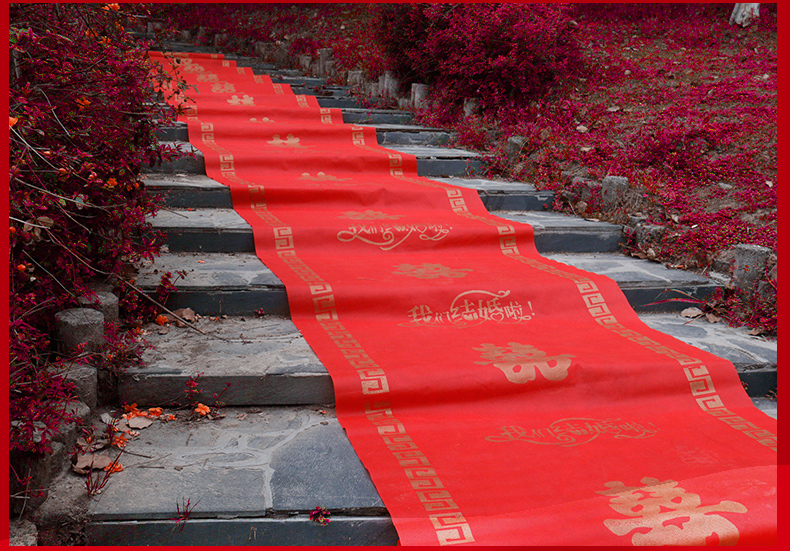 宁波婚庆地毯（宁波结婚用地毯）4